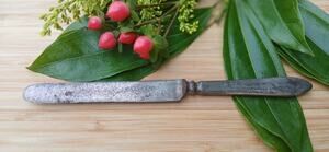Vintage cutlery Rodgers Bro butter knife